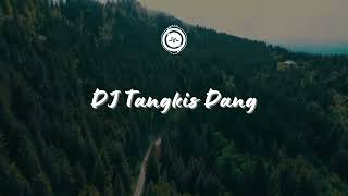 🎧DJ Tangkis Dang  Slowed & Reverb  🎧