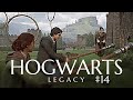 Hogwarts Legacy - Episode #14 | Gameplay with Soft Spoken Commentary