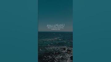 وذا النون إذ ذهب مغاضبا فظن أن لن نقدر عليه فنادى في . [ الأنبياء: 87] القارئ #فارس_عباد