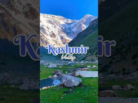 Kashmir travel guide in Rs. 9000 😍 | kashmir budget travel guide #shorts #kashmiri