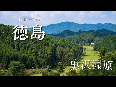 『黒沢湿原』に行ってきました 徳島県 自然を歩く 癒しの映像 日本の絶景 癒し風景  Japan  Fresh Green Nature Relaxation
