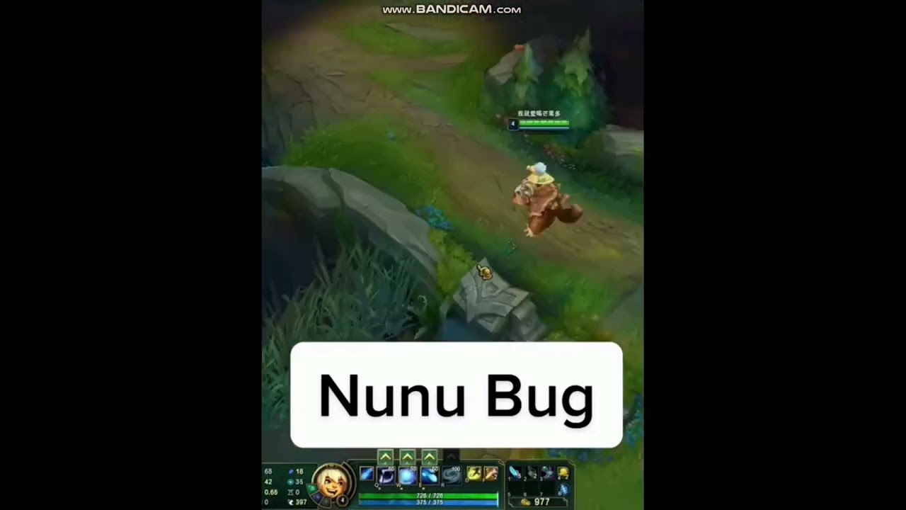 Nunu Bug Finally Fixed 