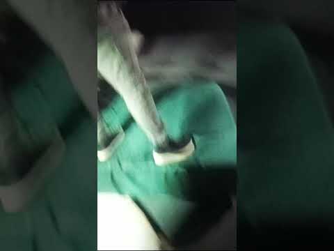 نبش قبر الهالك حافظ الأسد