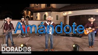 Los Dorados - Amándote (En Vivo) chords