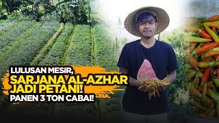 Sarjana Al Azhar Cairo Jadi Petani Cabai, Panen 3 Ton dari 3 000 m²
