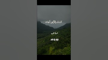 تلاوة خاشعة من القرآن الكريم بصوت الشيخ عبد الباسط عبد الصمد#القرآن#تلاوة #قرآن_كريم #خشوع