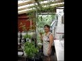How to Build a Basil Grow Box, step by step How to Build a Basil Grow Box, step by step