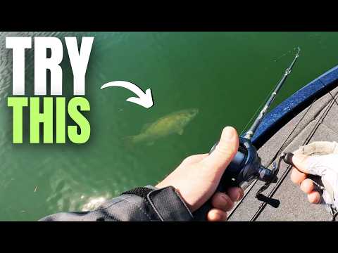 I Was Fishing Completely Wrong Until I Did This...(lake Break)