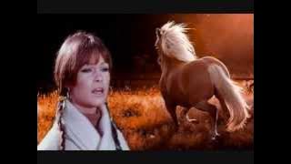 MARISOL ´´NO VOLVERE´´