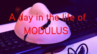 A day in the life of Modulus
