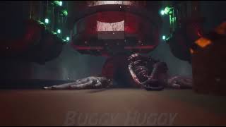 poppy5