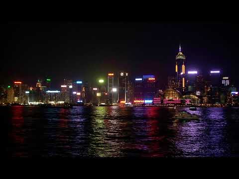 Kangaroo Shorts Live Stream
