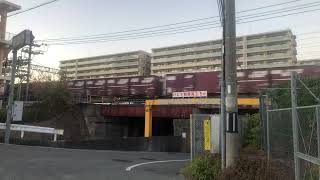 75レ EF65-2070