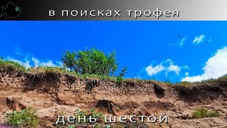 Поиски трофейной рыбы на юге области / день шестой