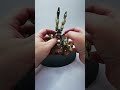 Rattrap (Beast Wars Transmetals) - Rat to Robot Transformation