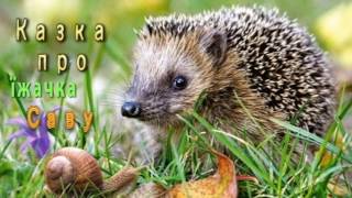 Українська казка про їжачка Саву / Аудіоказка на ніч /