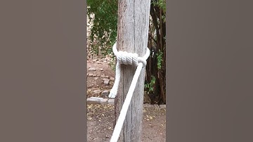 Timber hitch knot
