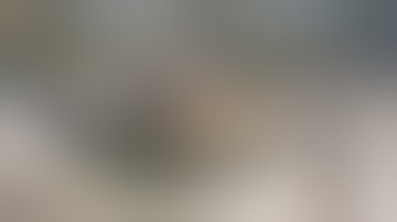 GTA V MLO | Weedshop