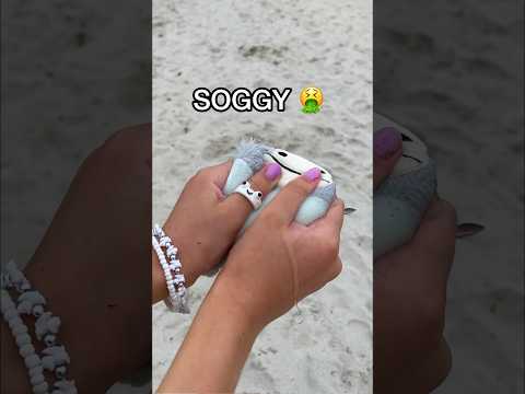 *RESULTS* I BURIED my SQUISHMALLOW in the SAND for 3 DAYS! 😱🏖️ *RIP FIDGET*