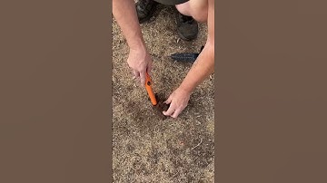 September 9, 2023 Metal Detecting