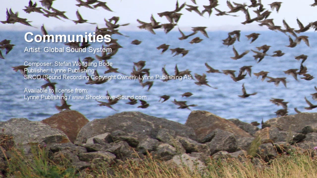 Communities - Global Sound System (Lynne Publishing)