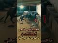 ماحسبته فوضى بلا معنى قد يكون تدبير من الله ليصرف عنك شرآ خفيآ  