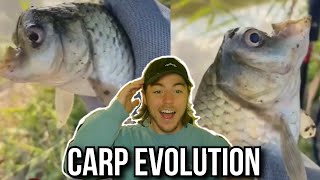 Fish Evolving to Survive?