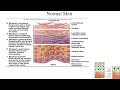 Pathology Made Easy Systemic Pathology 14 Skin Diseases 1 Introduction 