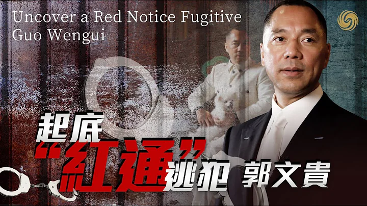 起底“红通”逃犯郭文贵｜美国在这个时间点抓捕郭文贵，是何考量？又会有何影响？｜凤凰聚焦20230410 - 天天要闻