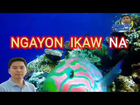 AKO NA (KARAOKE) By; Reybonz Tv