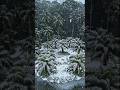 VIRTUAL REALITY 🌨️🌤️#nature #shorts#DigitalNature #AIArt #NatureLovers #EcoTech#mountains #travel