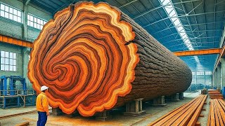 A Masterpiece from a 200-Year-Old Mango Tree Trunk...