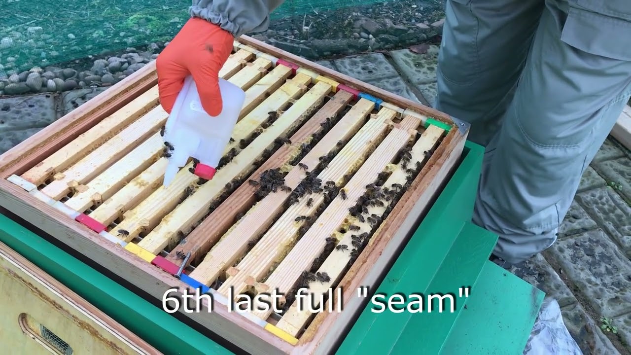 Oxalic Acid trickle treatment (UK)