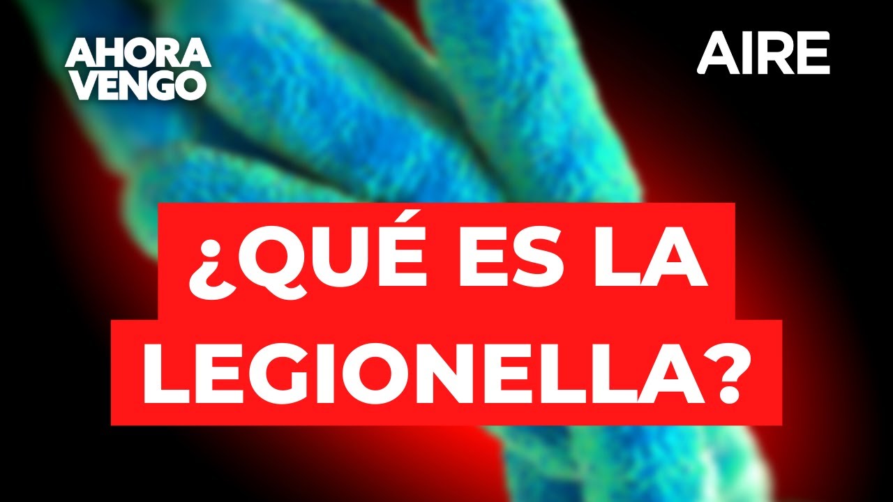 ⚠️ ¿Qué es la Legionella? 🧫 Una infectóloga explica de qué se trata la