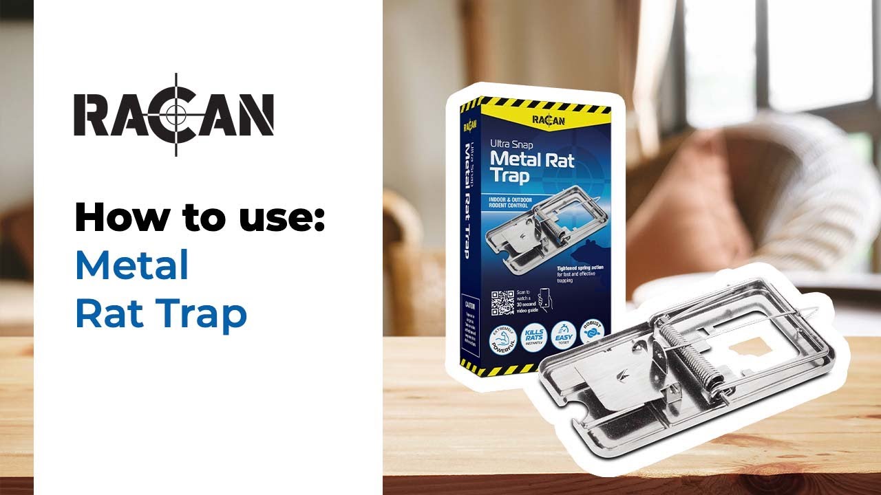 Racan Metal Rat Trap YouTube