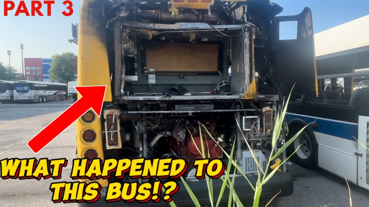 Eastchester Depot: Where Old MTA Buses Go to Die Part 3 | August 2025 Update