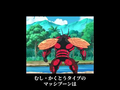 ウルトラビースト最強ランキング  前編  #ポケモン