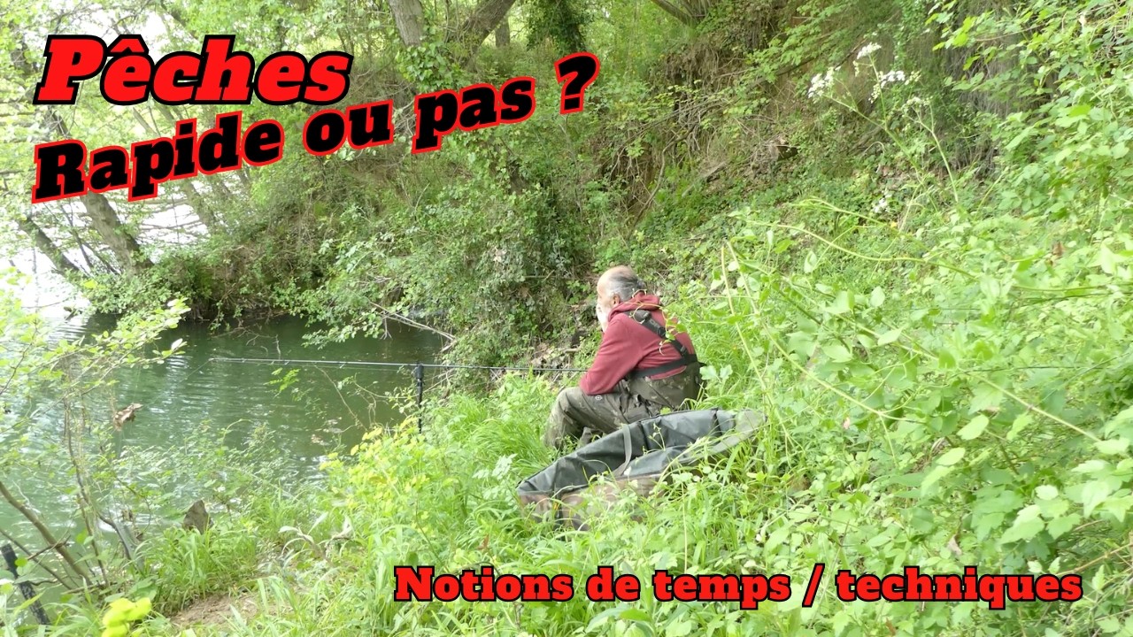 Des carpes en stalking, oui mais !