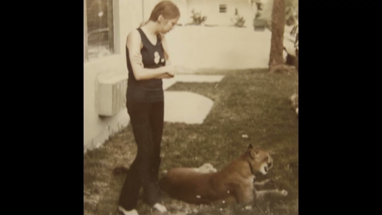 George Harrison’s Secret Sanctuary: The Hidden Deerfield Beach Story (1970 Beatles History Revealed)