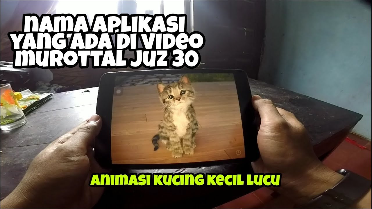 Nama aplikasi yang  ada  di video murrotal animasi  kucing 