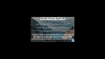 سورة يونس آيت نمبر ٦٦تا٦٨ تلاوت قرآن كريم سعد أيوب #تلاوت #قرآن #تلاوات #سعد