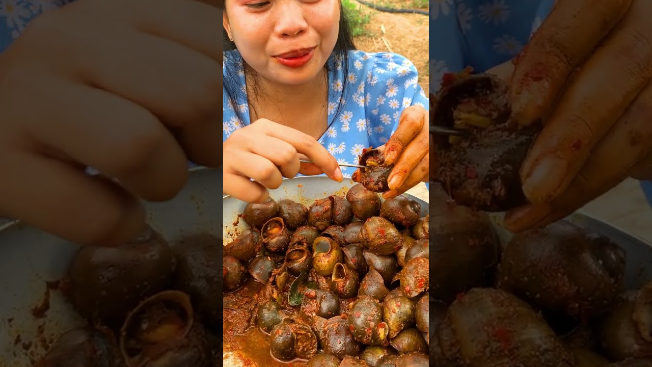 Wow so yummy snail fried , snails recipe  