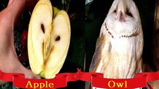 20 Vegetable picture that are something as
