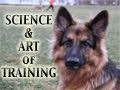 The science & art of training dogs