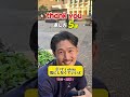 Thank youの返し方‼️… #エミレーツ#shorts #オーストラリア #英会話 #海外留学 #ワーホリ #英語学習 #留学 #英語#CA