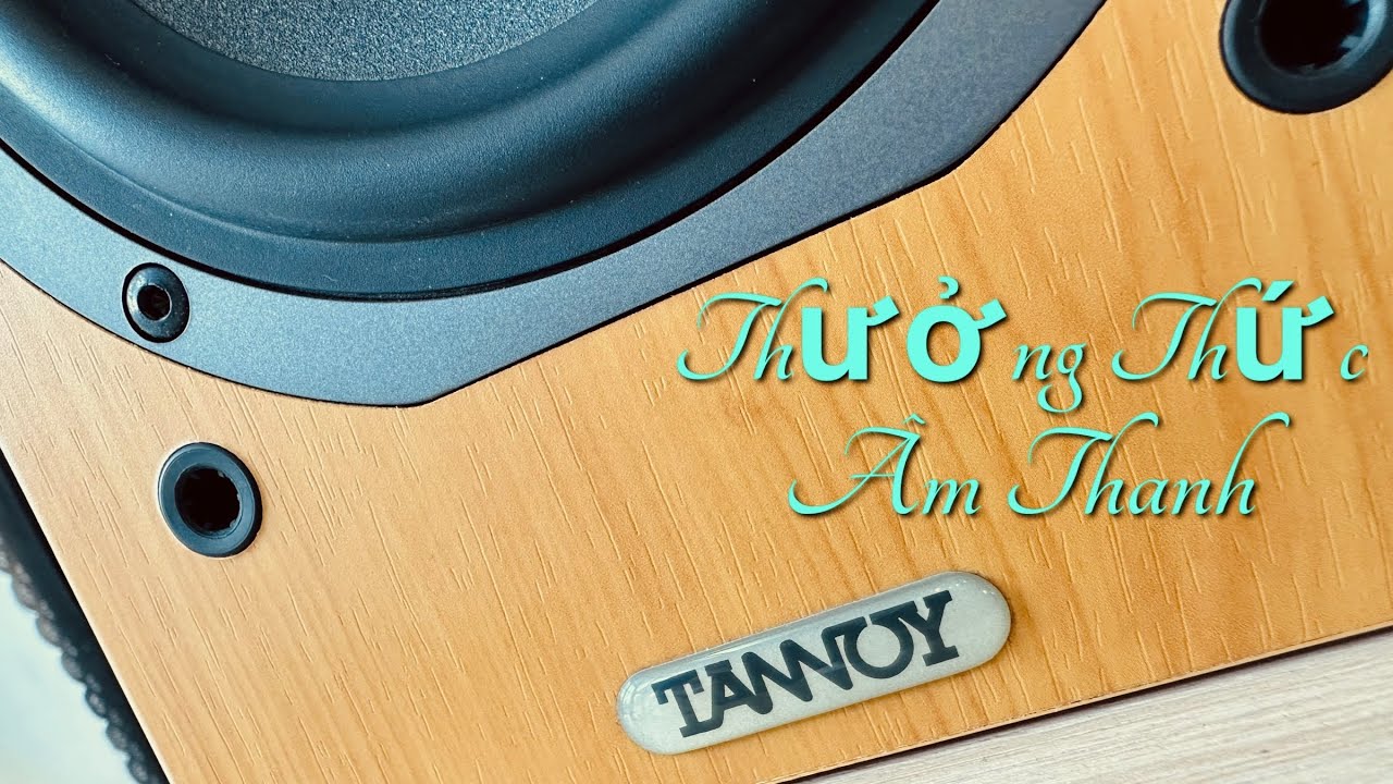 E63 TANNOY タンノイ mx1-M cherry スピーカー ペア TANNOY Mercury