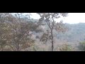 #VIDEO - Look into the nature #nature #interesting #nothing #fun #yt #youtube #viralvideos #lovely