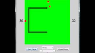 MATLAB Snake