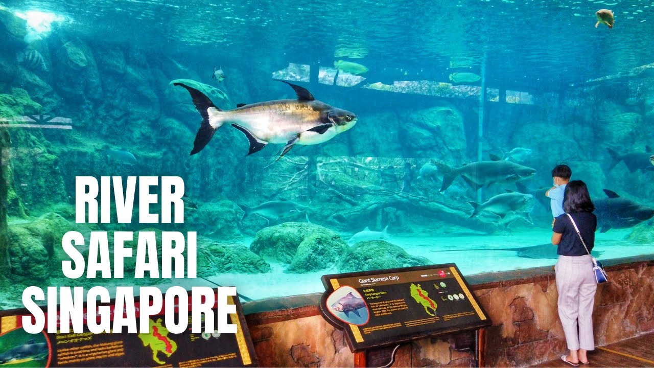 river safari singapore how long does it take