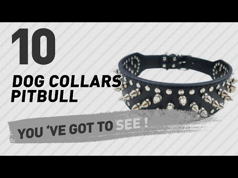 dog-collars-pitbull-//-top-10-most-popular